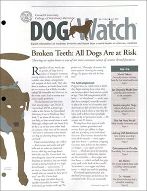DogWatch